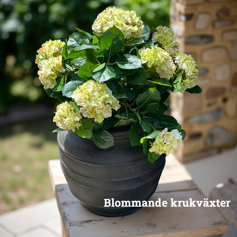 Frukt blomträd