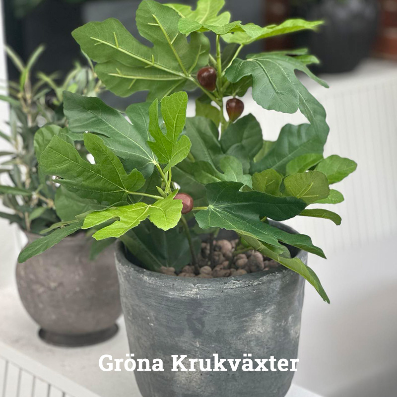 Gröna träd