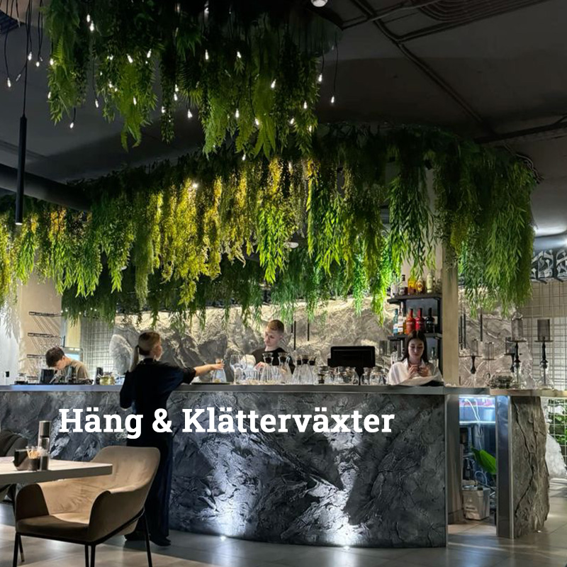 Frukt blomträd