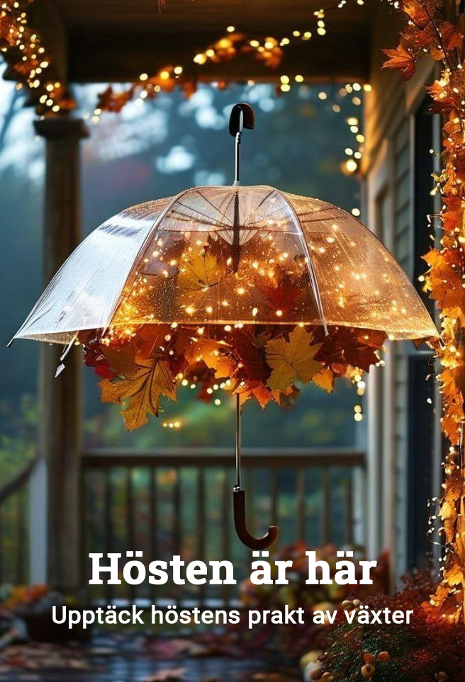 Frukt blomträd