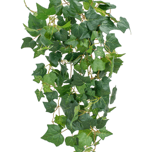 Murgröna 89 cm brandklassad