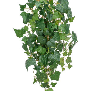 Murgröna brandklassad 106 cm