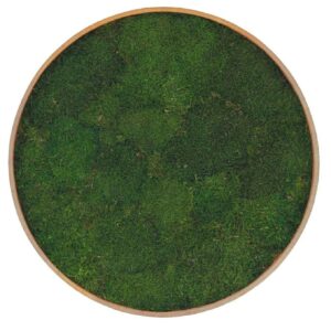 Rund mosstavla 80 cm diameter