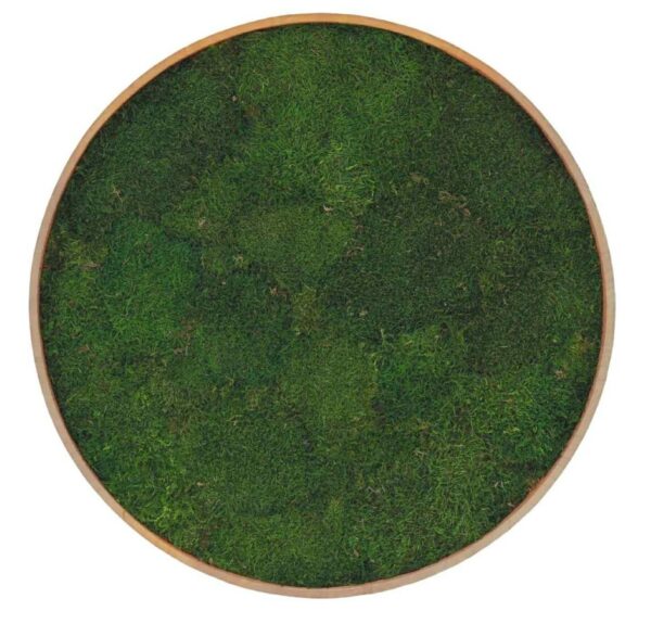 Rund mosstavla 80 cm diameter