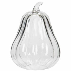 Pumpa | Konstgjord Avlång Glas Klar 20x15cm