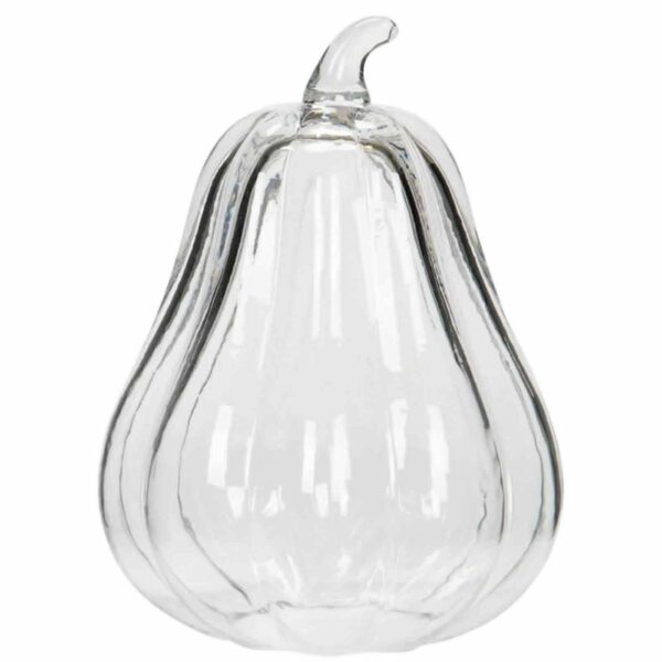 Pumpa | Konstgjord Avlång Glas Klar 20x15cm