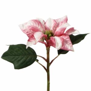 Julstjärna | Konstgjord Snittblomma Poinsettia Cerise 23cm