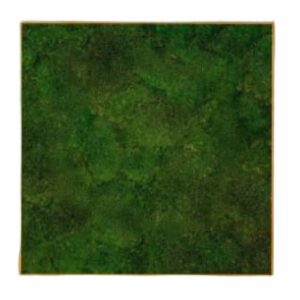 Växtvägg | Kvadratisk Mosstavla Med Äkta Plattmossa Naturram 50X50 cm
