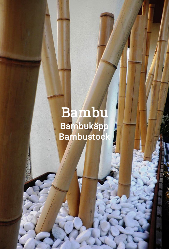 Frukt blomträd