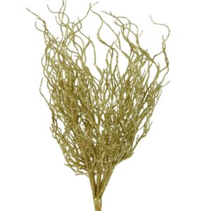 Guld kvist 25 cm med monteringspinne