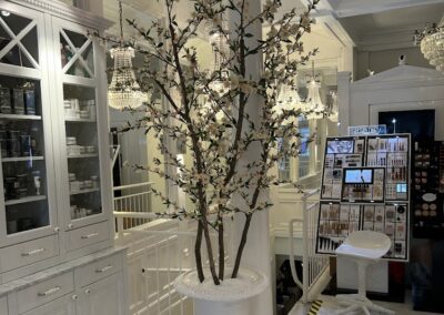 Electa House of Beauty