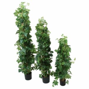Cissus| Konstgjord Cissus Torn UV 160 cm