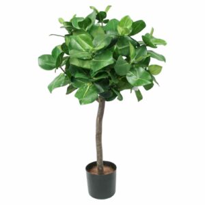 CLUSIA | Bollform UV 80 CM