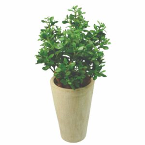 Crassula | Konstgjord Krukväxt Grön UV 65 cm