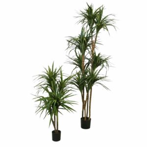 Dracena | Konstgjord Grön UV 180 cm