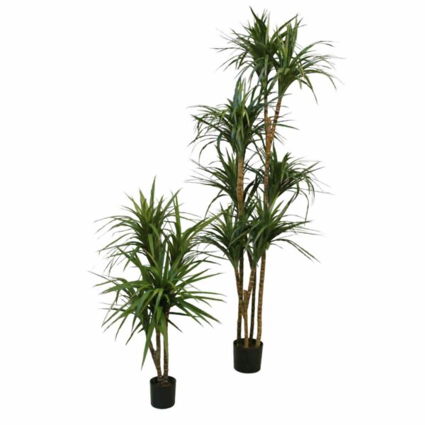 Dracena | Konstgjord Grön UV 180 cm