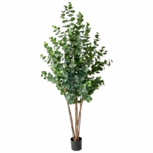 Eucalyptus | Grön UV 180 cm