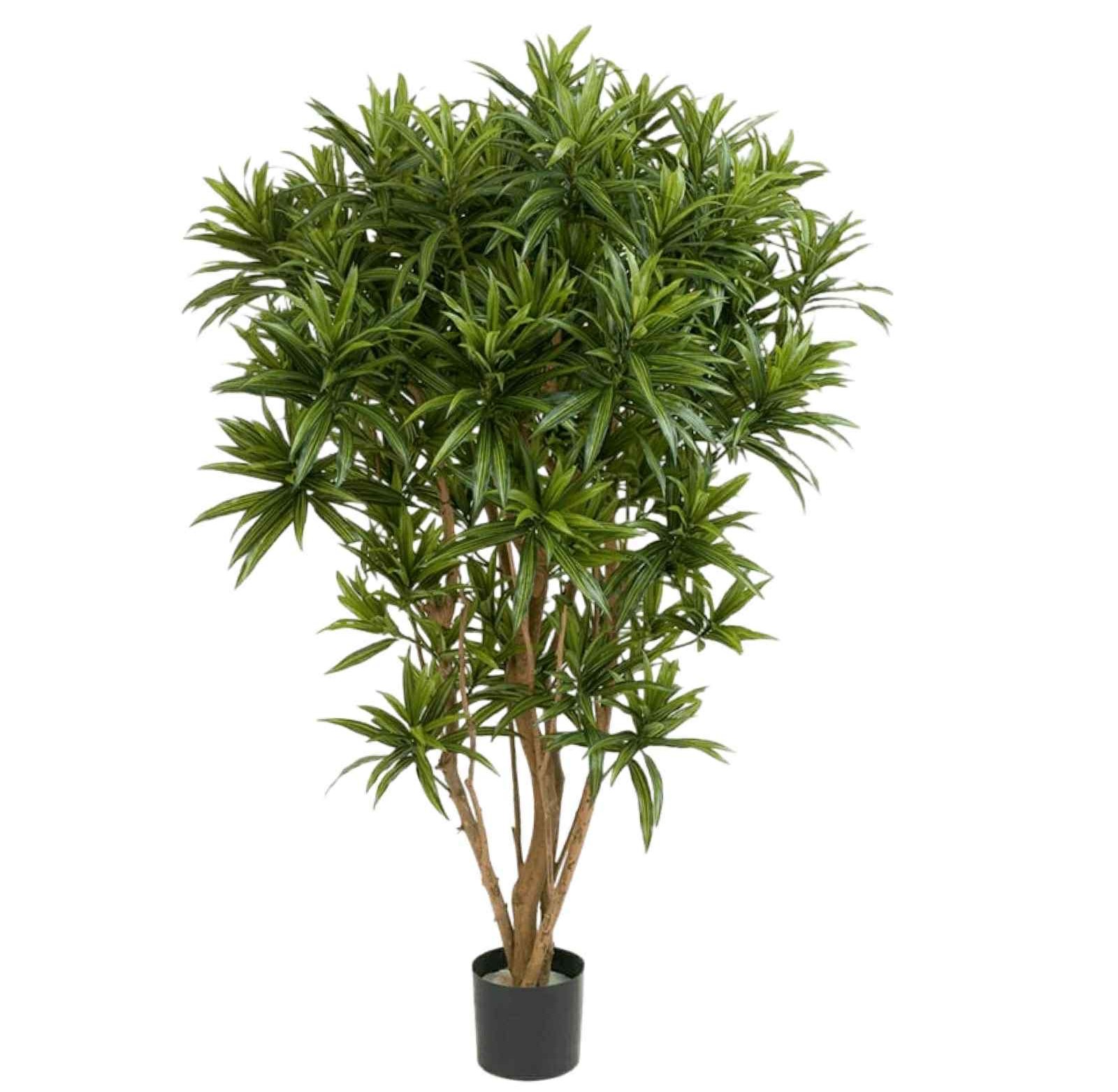 Konstgjord Dracaena Reflexa Jamaica Buske 150 cm 1