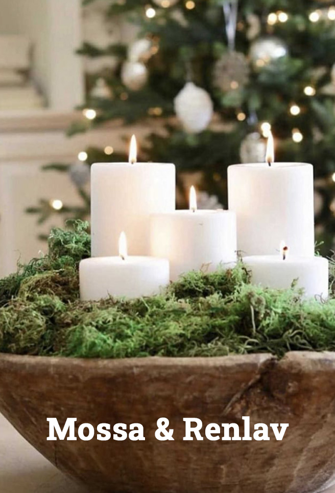 Mossa-&-Renlav Frukt blomträd