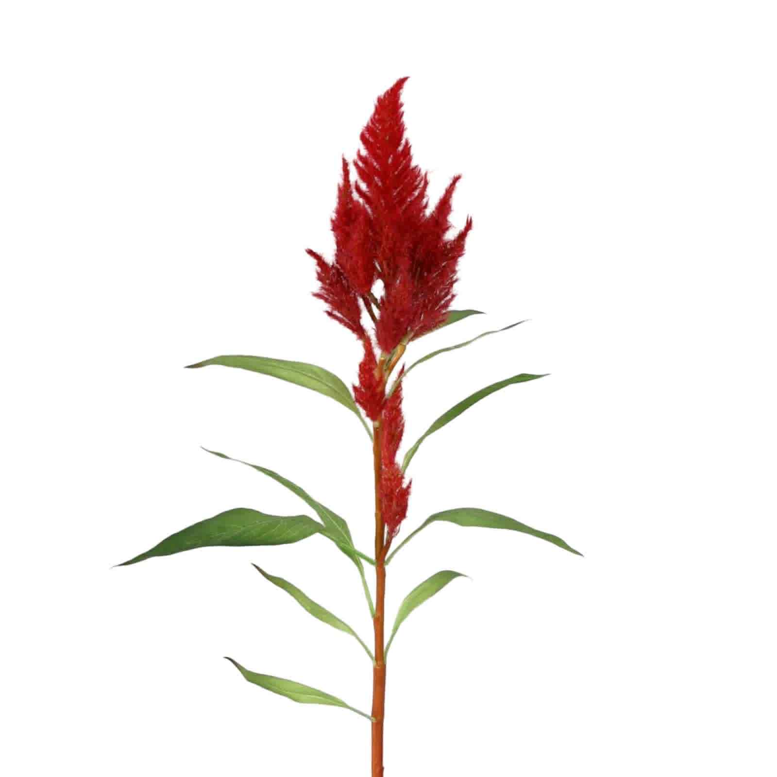 Celosia | Konstgjord snittblomma Röd UV 70 cm