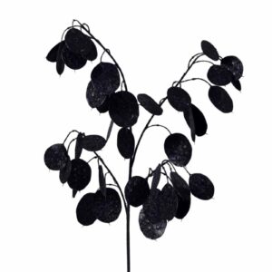 Kvist | Konstgjord Silver Dollar Svart UV 73cm