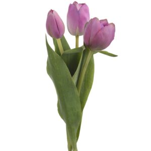 Konstgjord lila snittblomma i Tulpan