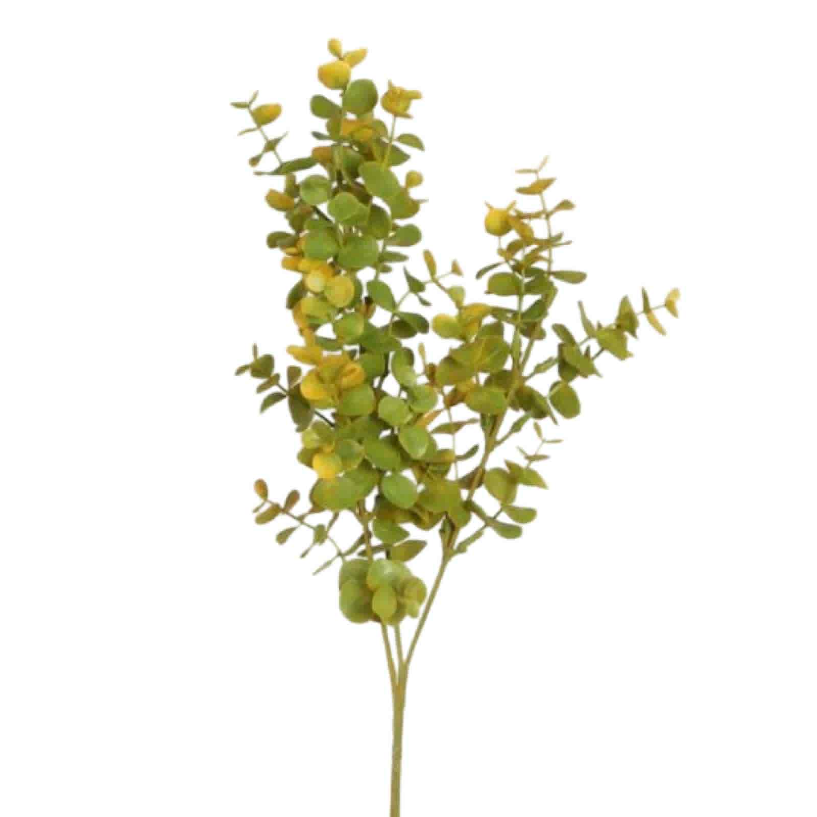 Eucalyptus | Konstgjord Kvist Grön 60 cm