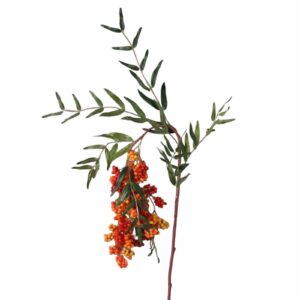 Kvist | Konstgjord Pepparkvist -Röd -Orange 80cm
