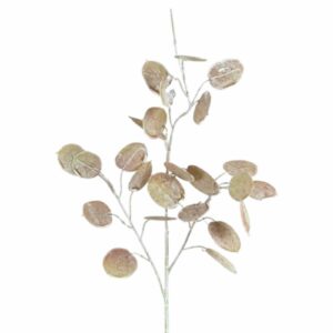 Kvist | Konstgjord Silver Dollar UV 72cm