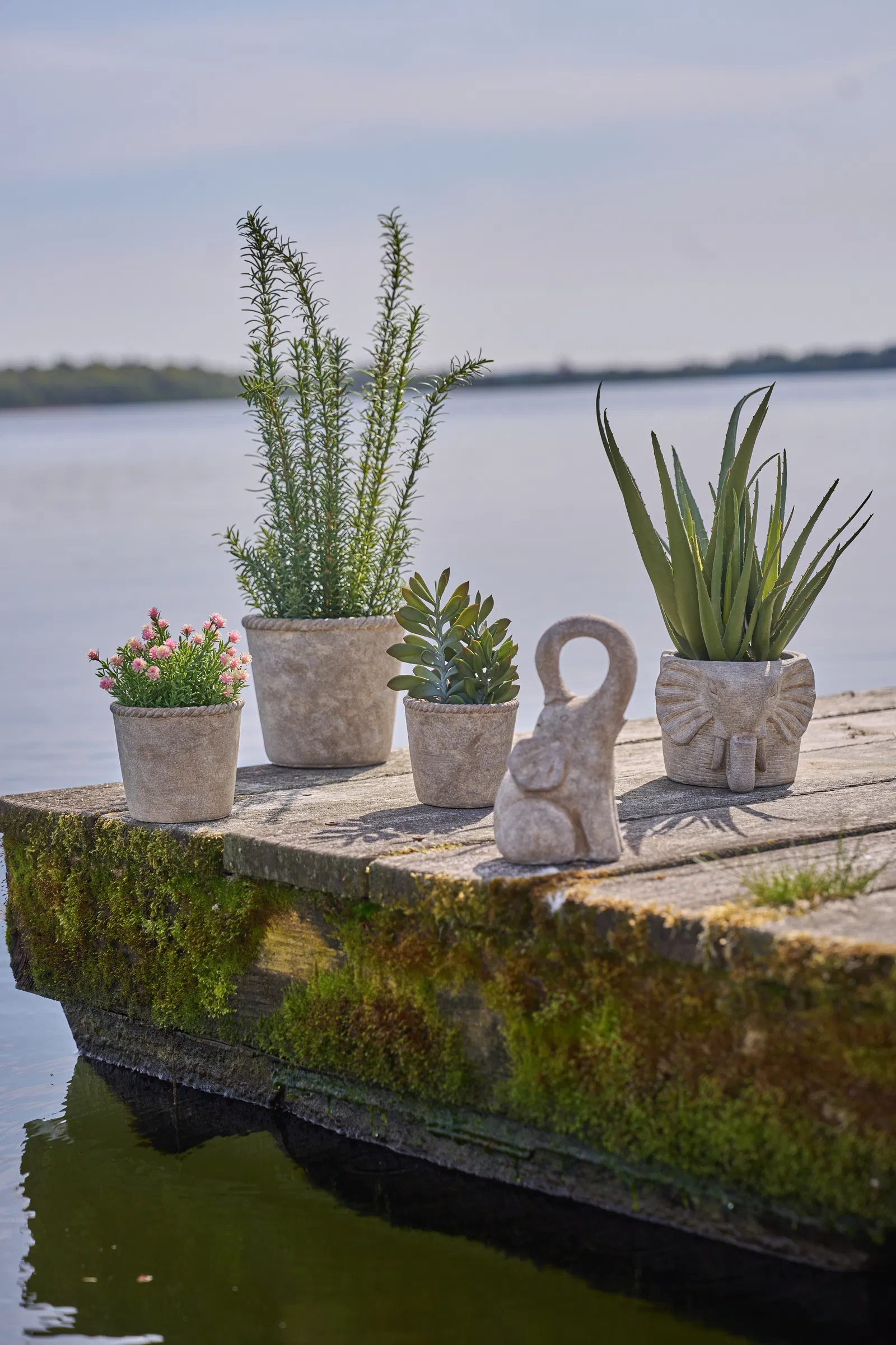 Kruka | Cement Med Detaljerad Kant Grå Ø11x10cm