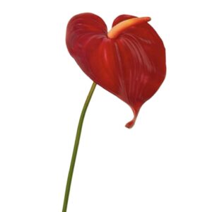 Anthurium | Konstgjord Rosenkalla röd 68 cm