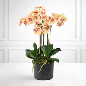 konstgjord orkide i multi gulorange och rosa