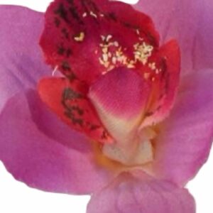 Orkidé | Konstgjord Flytande Blomma Cerise UV 2-pack 6cm