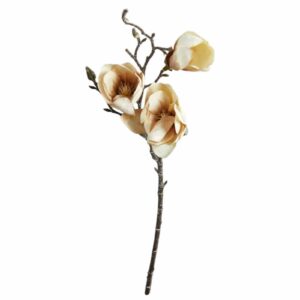 Magnolia | Konstgjord Kvist Dusty Rose 50 cm
