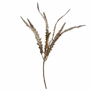 Blad | Konstgjort Ormbunksblad Brungrön 47 cm