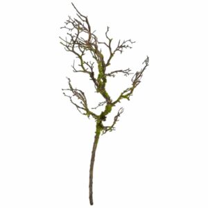 Gren | Trädgren Med Mossa 90cm