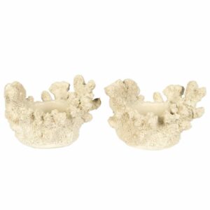 Ljushållare | Korall Vit 7x12cm