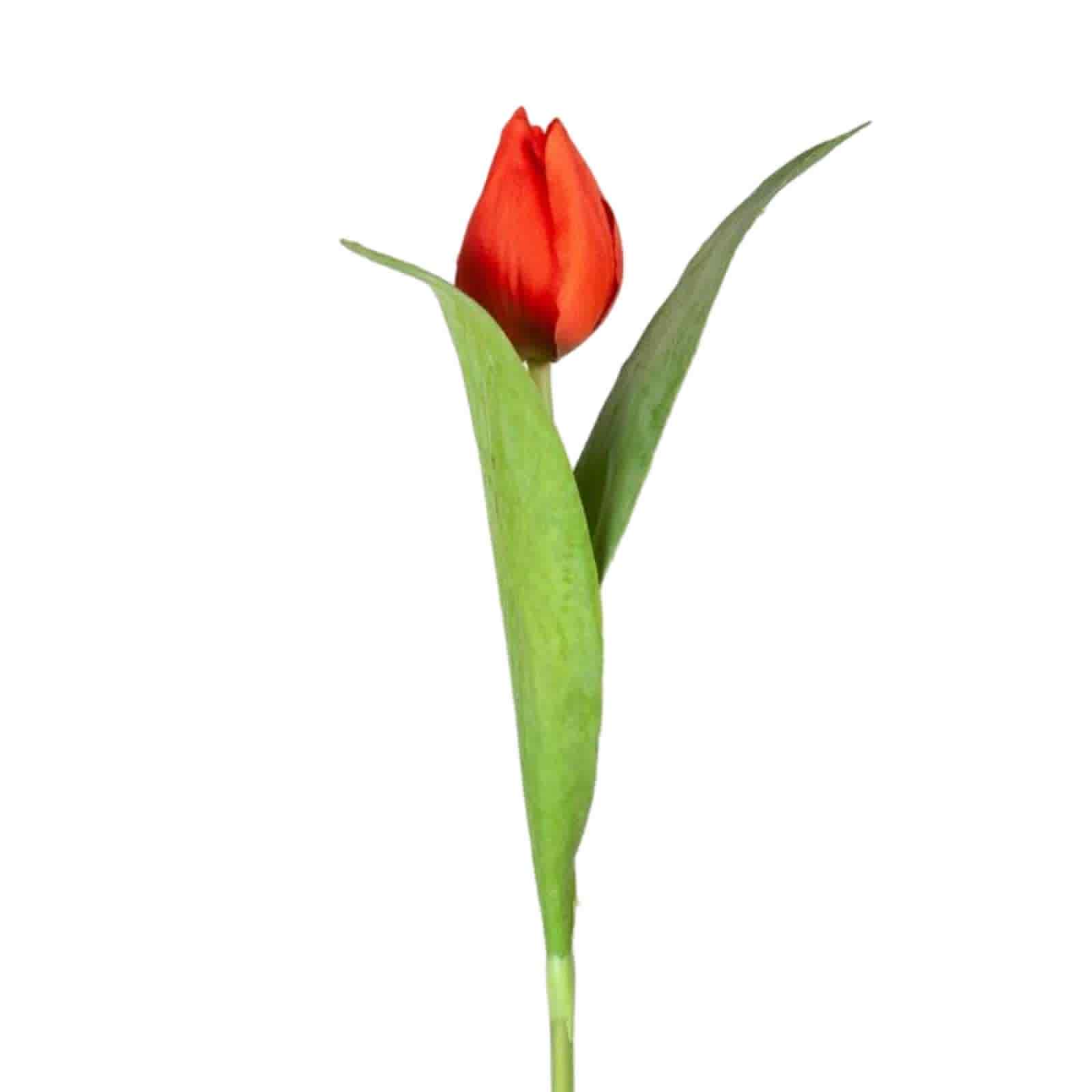 Tulpan | Konstgjord snittblomma Röd UV 64 cm