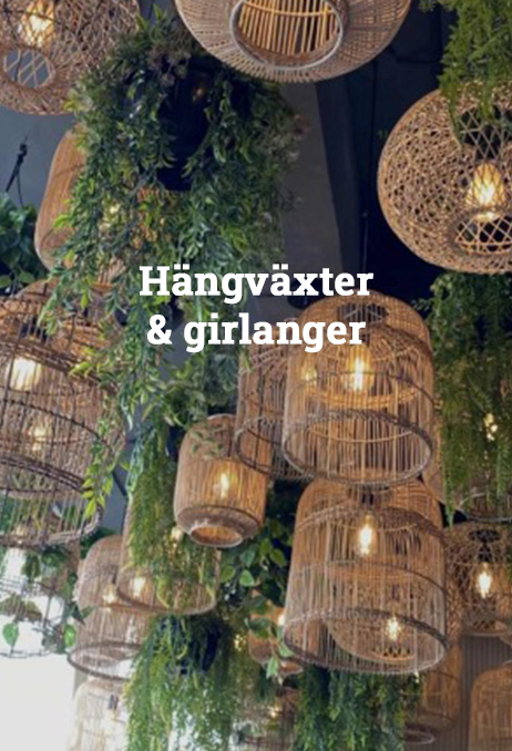 Hängväxter-&-girlanger-462x678