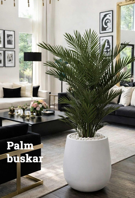 Palm-buskar-462x678