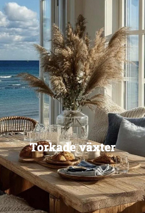 Torkade-vaxter462x678