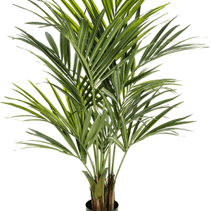 Konstgjord Kentia Palm – 140 cm | Naturlig elegans året runt