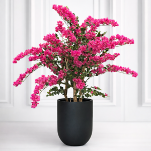 Konstgjord bougainvillea i kruka – fyllig blomning och naturtrogen design som ger rummet en lyxig och färgstark känsla utan skötsel.