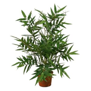 Bambu | Konstgjord buske Royal 38 cm