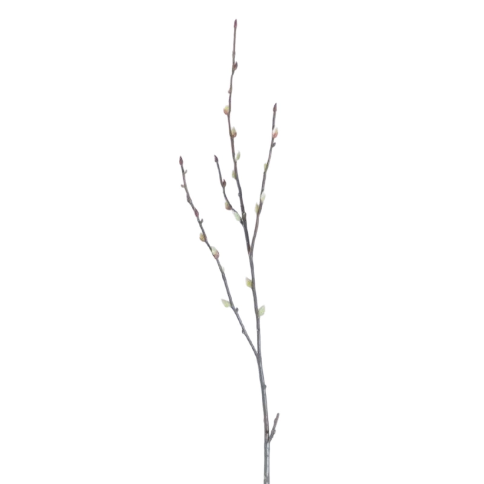 Vide | Konstgjord Kvist UV 95 cm