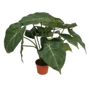 Gåsfot | Konstgjord Syngonium UV 34 cm