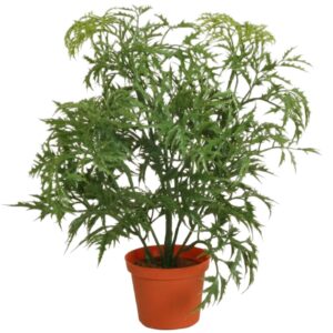 Ming Aralia | Konstgjord Krukväxt Grön UV 37 cm
