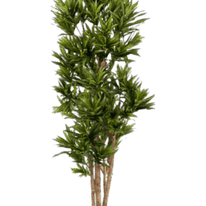 Brandklassad Dracena Reflexa (FR)150 cm | Konstgjord växt