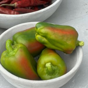 Konstgjord grönröd paprika 11 cm från Webflower