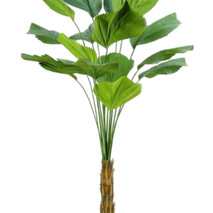 Brandklassad Palm Licuala (FR) 200 cm | konstgjord palm